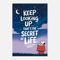 Poster in carta opaca premium