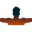 Visionary Wall logo